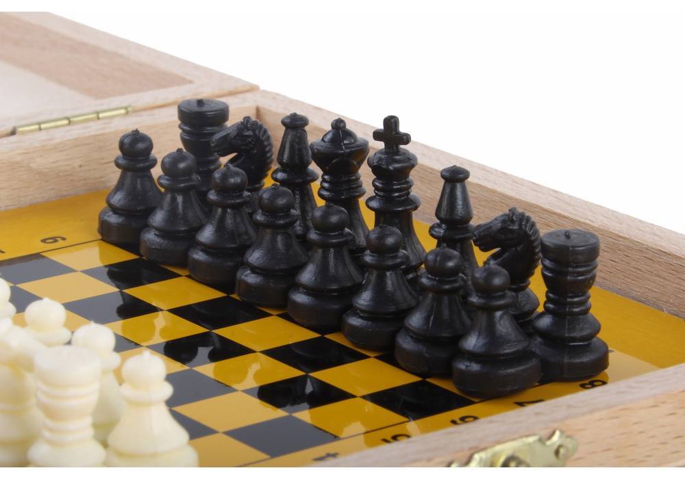 Échiquier magnétique, jeu d'échecs martiaux avec aimant, jeu d'aimant de  table, jeu de